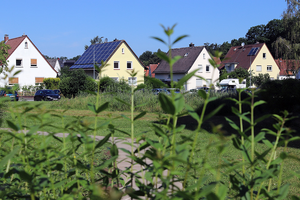 Bild fehlt