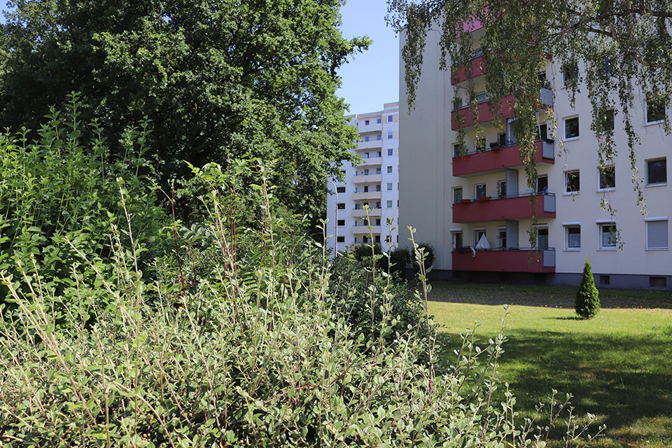 Bild fehlt